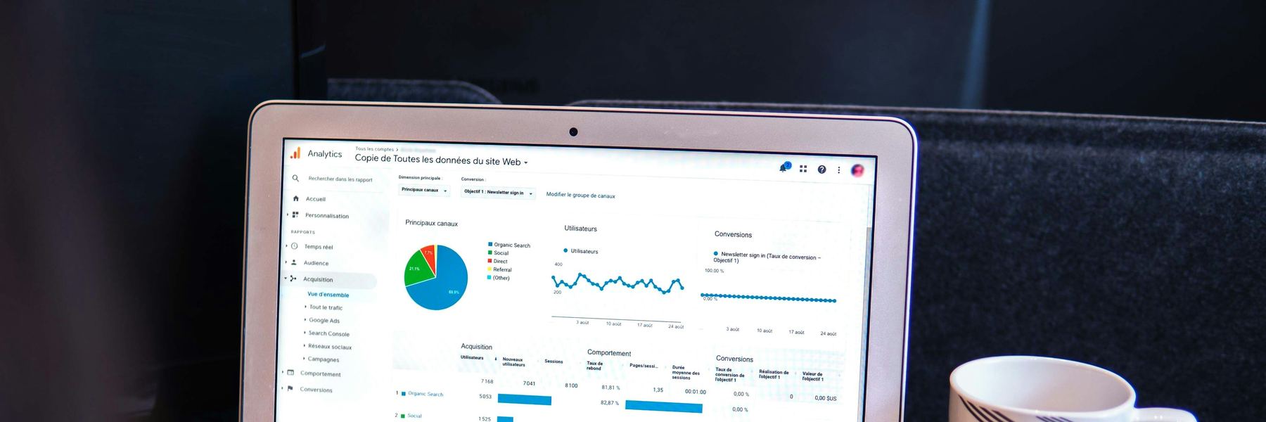 Google Analytics dashboard showing organic search traffic and acquisition channels